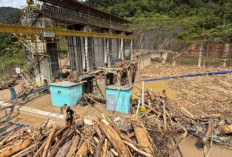 Bukan Sekadar Pembangkit Listrik Hijau, PLTA Sipansihaporas Cegah Banjir Kayu saat Bencana Sumatra