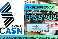 Buruan Cek Pengumuman Seleksi Administrasi CPNS 2024, Ini 21 Link Resmi Instansi Pemerintah