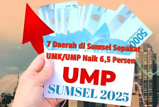 UMK 2025 di Sumsel Naik 6,5 Persen, Ini 7 Daerah Sepakat dengan Riciannya Ini