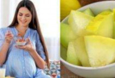 5 Manfaat Melon Untuk Ibu Hamil Sangat Berpengaruh untuk Bayi