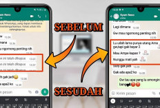 Mau Melihat Pesan WhatsApp yang Dihapus oleh Pengirim, Berikut 4 Caranya