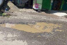Jalan Berlubang Digenangi Air Saat Hujan, Warga Keluhkan Bahaya dan Kerusakan Kendaraan