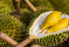 Musim Durian Tiba! Yuk, Eksplorasi Resep Mudah dan Menggugah Selera