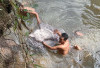 Anak Mencari Keberadaan Ibunya, Ditemukan Sudah Tenggelam di Sungai Megang Sakti Musi Rawas