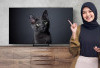 Rajanya Smart TV Terbaik 2024, Performa Tinggi Kualitas Gambar Tajam dan Jernih dari Brand Samsung 