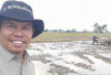 Ketersediaan Air Cukup, PPL Desa Sumber Rejo Musi Rawas Ajak Petani Lakukan Percepatan Tanam