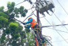 Jangan Berteduh di Bawah Kabel ! PLN UP3 Lubuk Linggau Sampaikan Panduan Keselamatan dari Arus Listrik 