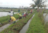  Petani Bersama Dengan PPL dan Pemdes A Widodo Lakukan Kegiatan Gotong Royong Bersihkan Saluran Irigasi