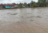  Banjir Melanda Kecamatan Rawas Ulu Muratara