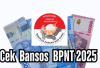 Bansos BPNT 1 Februari 2025, Segera Disalurkan, Begini Cara Ceknya