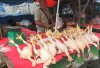 Harga Masih Tinggi, Pembeli Daging Ayam di Lubuk Linggau Sepi