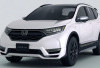 Honda CR-V 2026 Tampil Lebih Sporty dan Irit, Cocok untuk Keluarga Modern