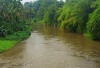 Waspada Bagi Warga yang Dekat Bantaran Sungai Kelingi, Ingat Saat ini Intensitas Hujan Tinggi