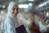 Ayam yang Disembelih Perempuan Apakah Halal Dimakan? Ini Penjelasan Islam 