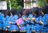4 Orang PPPK Paruh Waktu di Musi Rawas Undurkan Diri, Ini Alasannya
