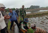 Jaga Hasil Produksi Tanaman Padi Tetap Tinggi, Petani Hingga PPL di MUsi Rawas Lakukan Gerdal Hama Tikus