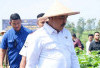 Kelola Lahan 7 Hektare, Program Ketahanan Pangan Lapas Sukabumi Dipuji Menteri Imipas