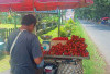 Bulan Suci Ramadan Membawa Berkah Tersendiri Bagi Penjual Buah Rambutan