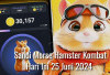 Jutaan Koin Game Hamster Kombat Menanti, Berikut Sandi Morse Hamster Kombat Hari Ini 25 Juni 2024