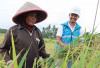 PLN UID S2JB Raih Platinum Nusantara CSR Awards 2026, Electrifying Agriculture Dorong Ketahanan Pangan