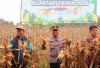 Polres Muratara Dukung Peningkatan Kesejahteraan Petani Jagung 