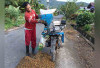 Petani Kopi di Kecamatan Selangit Musi Rawas Mulai Panen, Namun Harga Anjlok  