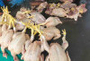 Meski Harga Ayam di Pasar Lubuk Linggau Tinggi, Tak Kendorkan Minat Beli
