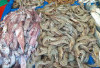 Udang dan Cumi Segar Jadi Buruan, Pedagang Jaga Kualitas 