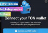 5 Cara WD Toncoin Wallet Telegram Ke Saldo DANA dengan Mudah dan Aman