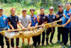 Sudah 3 Kali, Ada Buaya dalam Kolam Bikin Geger warga Tugumulyo Musi Rawas