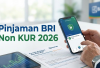 Pinjaman Mandiri Non-KUR 2026 Resmi Hadir, Dana Cepat Cair dengan Plafon Besar