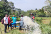 Dua Pekan Tidak Hujan, Sawah di Desa Sri Kemuning Kekeringan 
